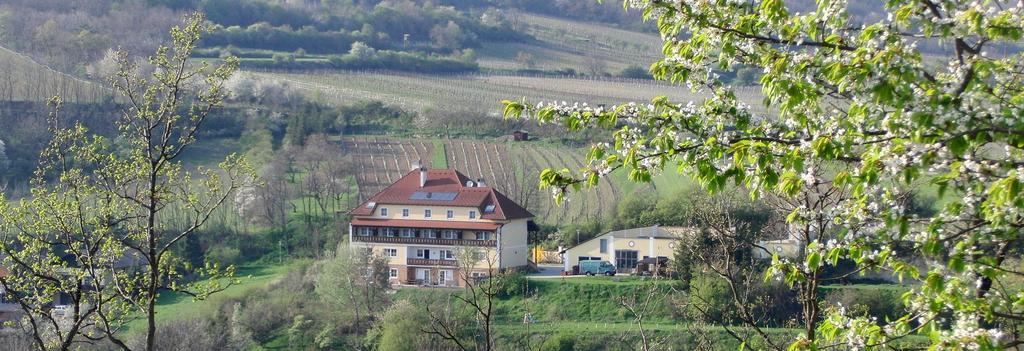 Pension Rudi - Weingut Kellner Hotel Pulkau Eksteriør billede